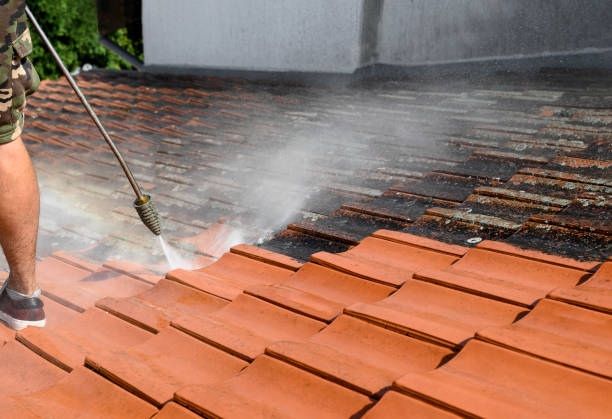 Best Roof Power Washing Services  in Cross Plains, TX