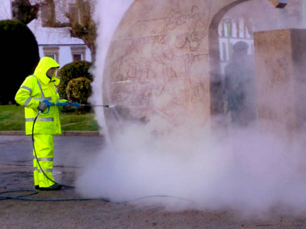 Best Roof Power Washing Services  in Cross Plains, TX
