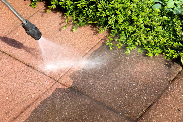 Best Roof Power Washing Services  in Cross Plains, TX